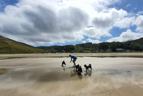 Pouerere Beach