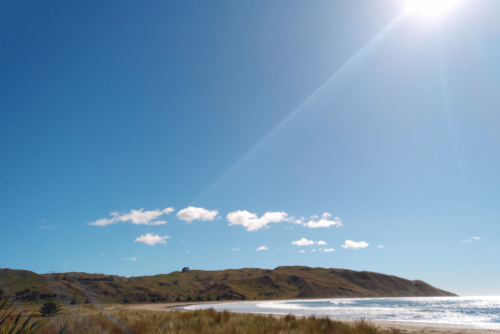 Aramoana Beach