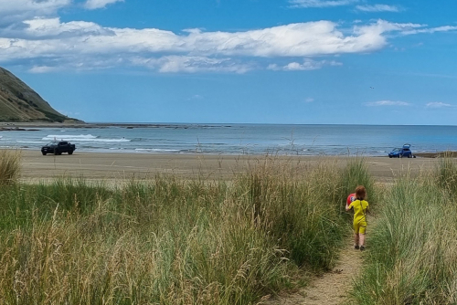 Blackhead Beach