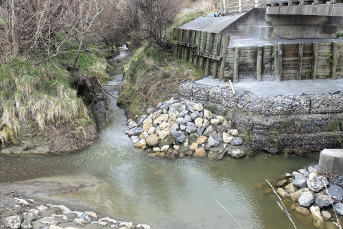 Taurekaitai Bridge