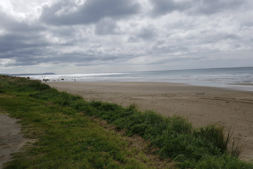 Whangaehu Beach