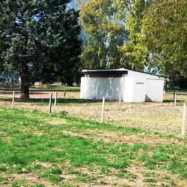 BMX Track Toilets, Russell Park Waipukurau - BMX Track Toilets are situated behind the BMX track in Russell Park, Waipukurau off River Terrace