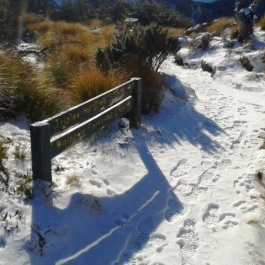 Ruahine Ranges - Snow day on the Sunrise Track Ruahine Ranges June 2015