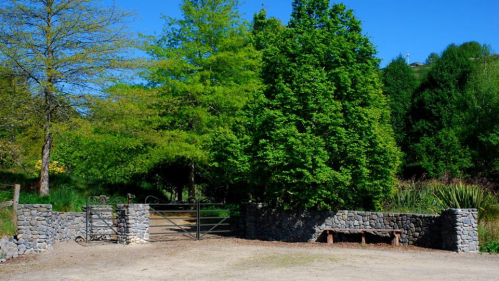 Forest of Memory Arboretum