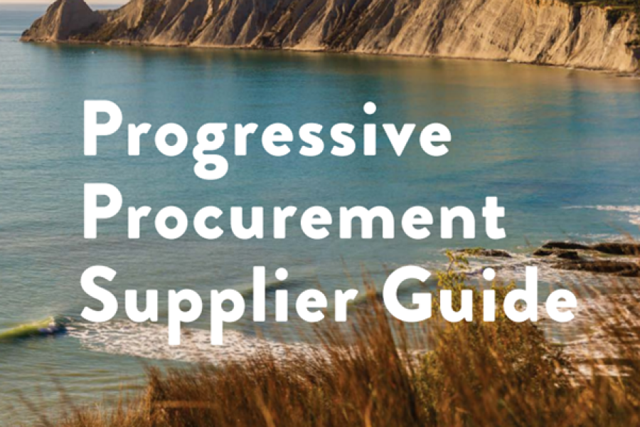 Progressive Procurement Supplier Guide