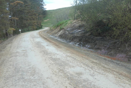 Rangitoto Road