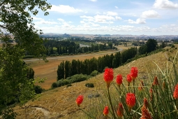 Waipukurau from Pukeora hill