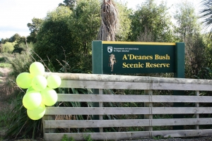 A'Deanes Bush Scenic Reserve