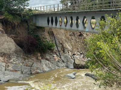 Titoki Bridge