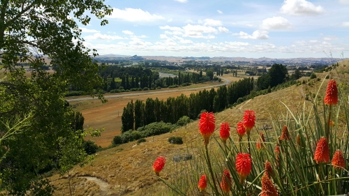 Waipukurau from Pukeora hill