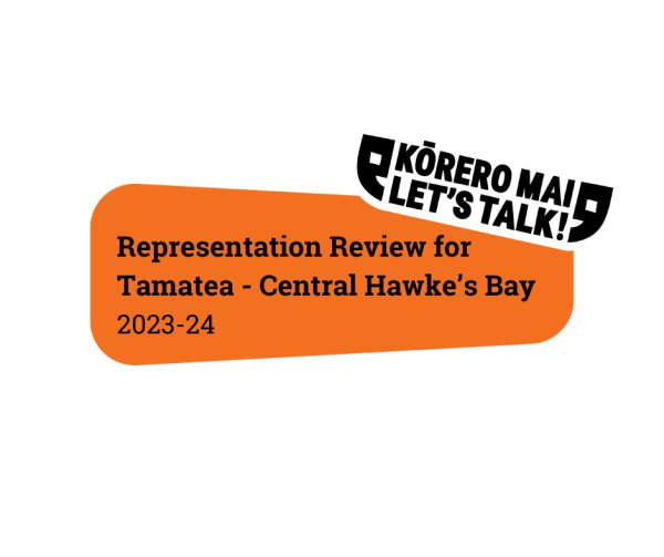 Representation Review for Tamatea Central Hawkes Bay